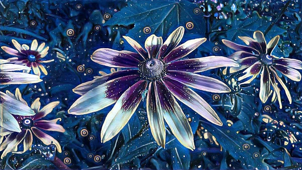 Садовый Цветок Рудбекия Летнюю Ночь Клумбе — стоковое фото