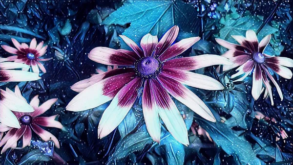 Bahçe çiçeği Rudbeckia Bir yaz gecesi Çiçek tarlasında