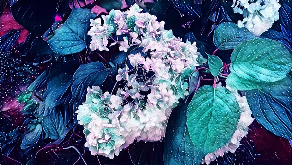 Ortanca çiçeği bir yaz gecesinde bahçede yağmur damlalarında