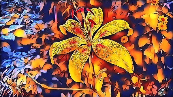 Yellow Lily Flower Summer Morning Raindrops Garden — Stock Photo, Image