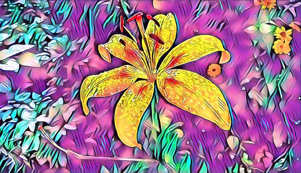 Yellow Lily Flower Summer Morning Raindrops Garden — Fotografia de Stock