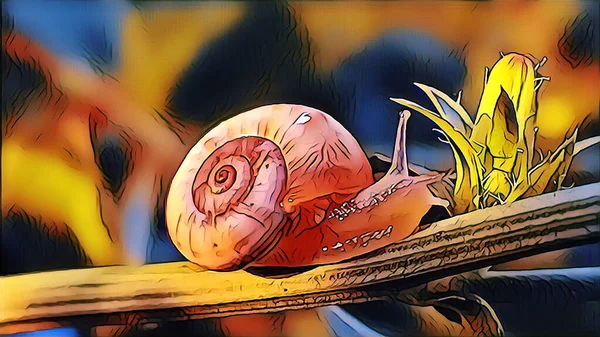 Kleine Schnecke Frühen Sommermorgen Auf Der Wiese — Stockfoto