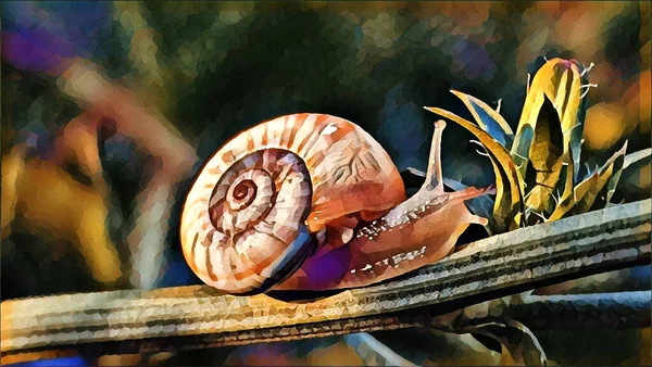 Yaz sabahı çayırda küçük bir salyangoz.