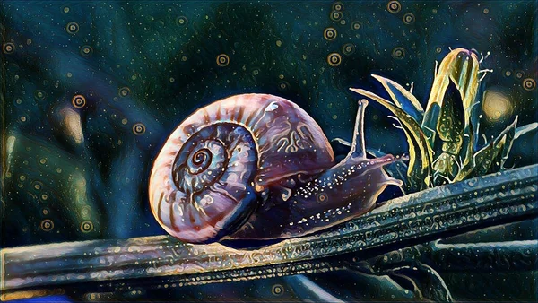 Wilde Schnecke Der Spätsommernacht Auf Einem Chicorée Zweig Auf Der — Stockfoto