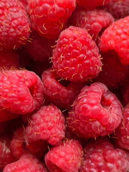 Kırmızı orman böğürtlenleri masada tatlı olarak..