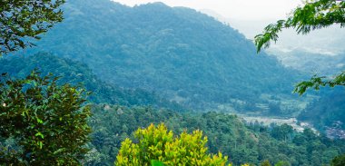 Tropikal yağmur ormanları tepeleri, Batı Cava, Endonezya