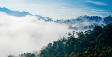 Yumuşak sisli, lebak, Endonezya 'lı tropikal yağmur ormanı manzarası