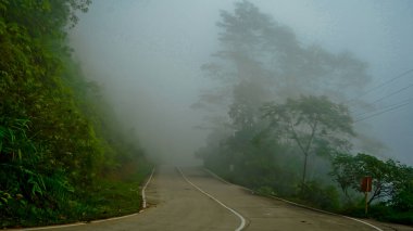 Endonezya 'nın sisli tropikal ormanındaki güzel yol manzarası