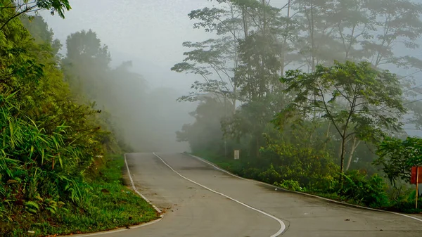 Endonezya 'nın sisli tropikal ormanındaki güzel yol manzarası