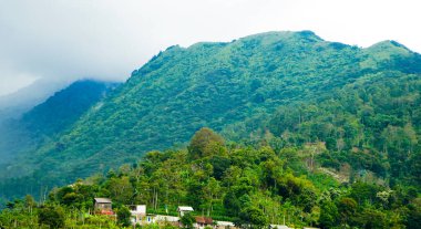 Sis kaplı bir tepenin eteğindeki güzel bir köy manzarası.