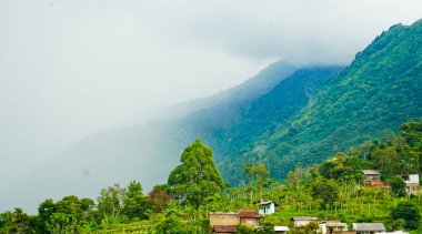 Sis kaplı bir tepenin eteğindeki güzel bir köy manzarası.
