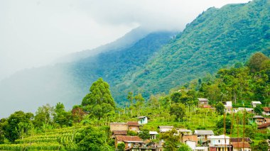 Sis kaplı bir tepenin eteğindeki güzel bir köy manzarası.