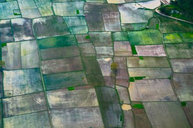 Gökyüzünden güzel bir manzara, pirinç tarlaları