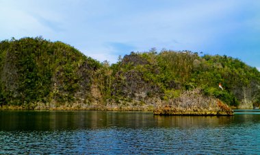 Endonezya, Batı Papua 'nın berrak gökyüzü arka planına sahip güzel ada ve deniz manzarası