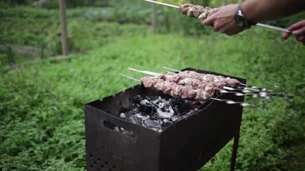 Špejle na pečené na grilu — Stock video
