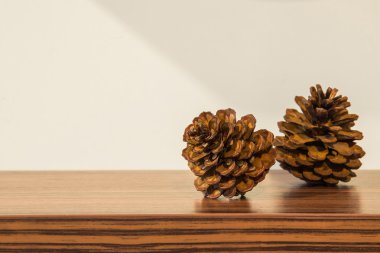 pinecones ahşap tablo