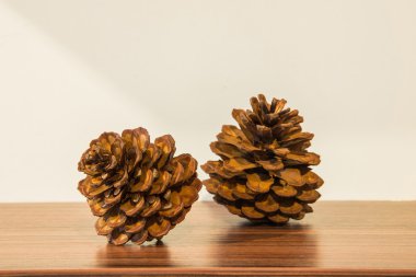 pinecones ahşap tablo