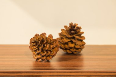 pinecones ahşap tablo