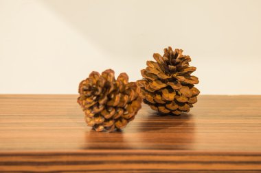 pinecones ahşap tablo