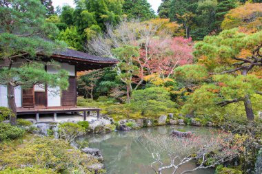 Japon bahçe Ginkakuji Tapınak