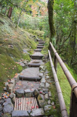 Bahçedeki taşlı merdiven