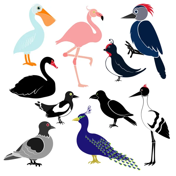 Beyaz arka plan üzerinde izole farklı kuşlar.