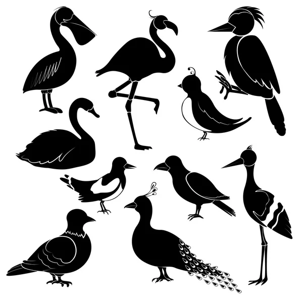 Siluety různých ptáků na bílém pozadí. — Stockový vektor