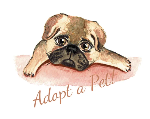 Dog watercolor. Adopt a Pet. Dog adoption concept. — Stock Photo, Image