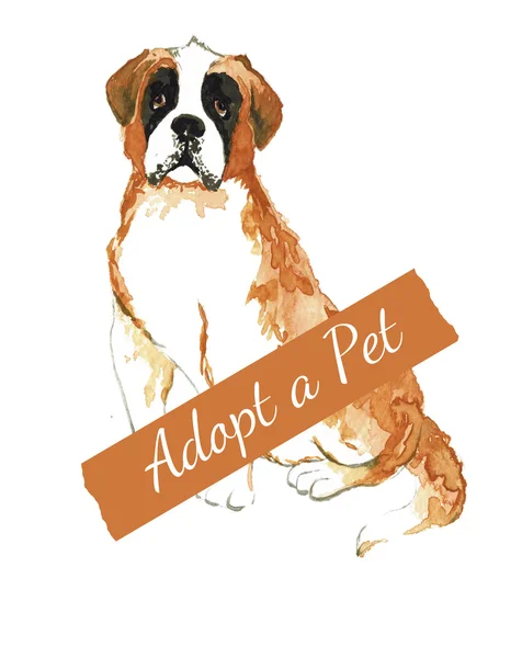 Aquarelle Bernard. Ne magasinez pas, adoptez. Concept d'adoption de chien . — Photo