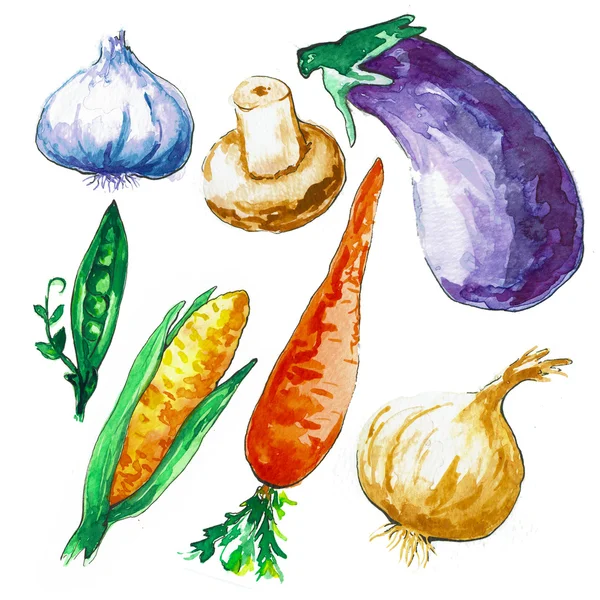 Verschiedene Gemüse isoliert auf weißem Hintergrund. Aquarell-Gemüse. die Konturen sind in Tusche gezeichnet. Handgezeichnet. — Stockfoto