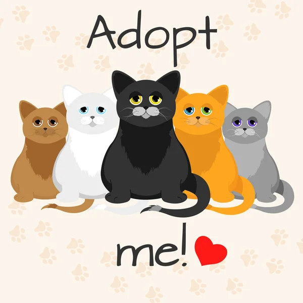 Concept d'adoption de chat. Illustration vectorielle — Image vectorielle