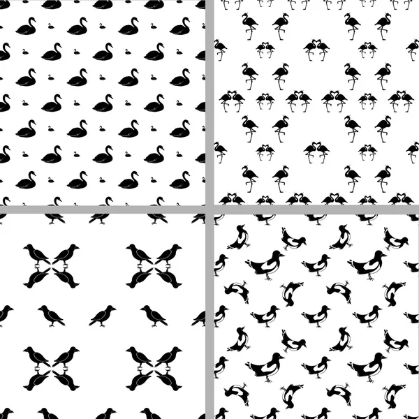 Meghatározott négy varrat nélküli minták különböző madarak. — Stock Vector