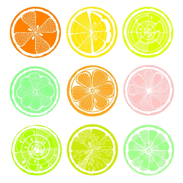Zitrone, Orange und Grapefruit auf weißem Hintergrund. handgezeichnete Zitrusfrüchte. stilisierte Grafik. — Stockvektor