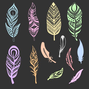 Set of Ethnic feathers. Hand drawn feathers in pastel colors. Vector illustration. clipart