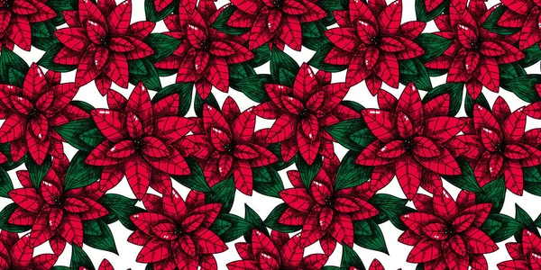 Modèle Sans Couture Noël Avec Plante Poinsettia Vecteur Croquis — Image vectorielle