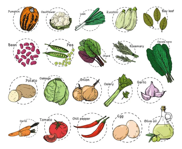 Croquis Différents Légumes Stickers Recette Ensemble Légumes Isolés Sur Fond — Image vectorielle