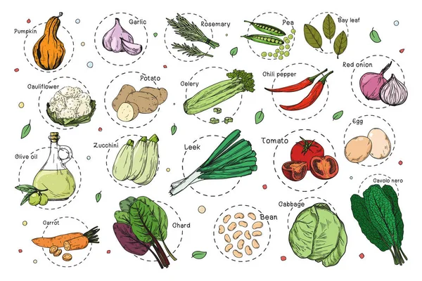 Croquis Différents Légumes Stickers Recette Ensemble Légumes Isolés Sur Fond — Image vectorielle