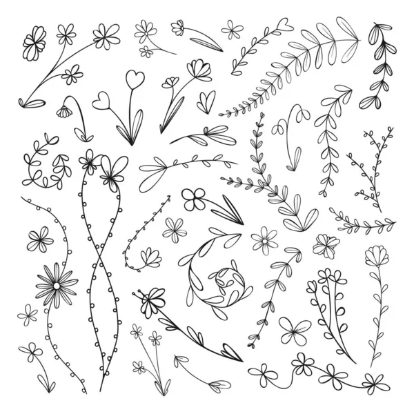 Set Van Verschillende Bloemen Takken Bladeren Andere Plantenelementen Schets Doodle — Stockvector