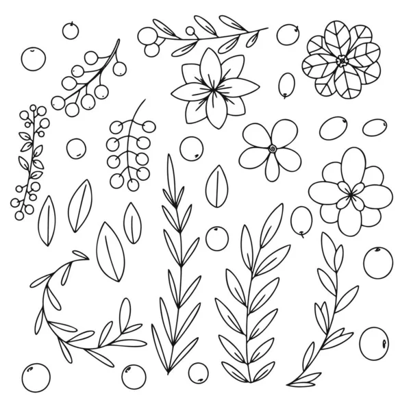 Diferentes Ramas Hojas Flores Sobre Fondo Blanco Doodle Boceto Hierbas — Archivo Imágenes Vectoriales