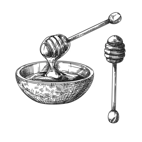 一碗蜂蜜和一个木制蜂蜜勺的素描 矢量说明 — 图库矢量图片