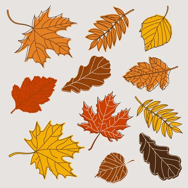 Conjunto Desenhado Folhas Coloridas Outono — Vetor de Stock