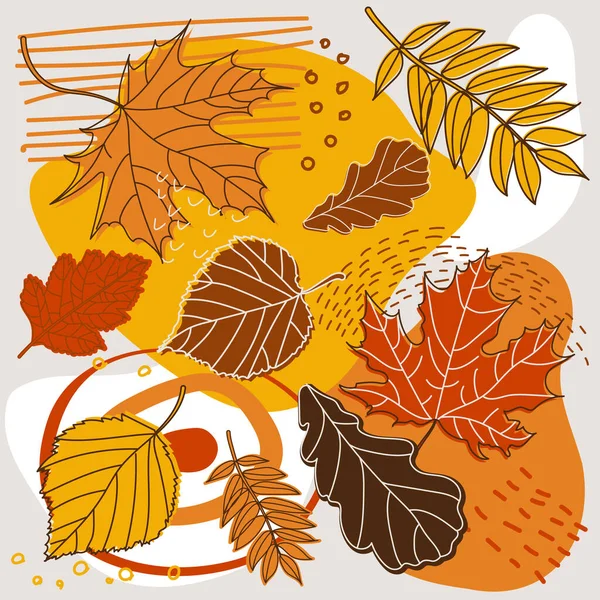 Рисунок Композиции Цветных Осенних Листьев — стоковый вектор