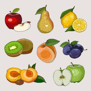 Farklı meyveler çizilmiş.