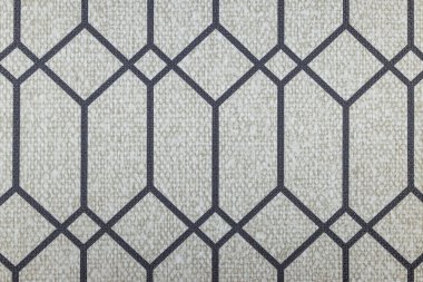 Açık gri desenli bir duvarda donanma çizgileri olan modern geometrik bir kafesin yakınında..