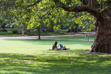 Parlak bir şehir parkında, büyük bir ağacın altında, yemyeşil çimenler ve huzurlu bir açık hava ortamı ile benekli bir gölgede kitap okuyan iki kişi bir battaniyenin üzerinde dinleniyor. Londra, İngiltere, 23 Temmuz 2023