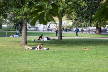 Rahat şehir parkı sahnesi, yapraklı ağaçların altındaki çimlerin üzerinde uzanan insanlar, aydınlık bir günde kitap okuyor ve dinleniyor..