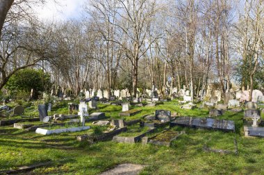 Londra 'daki tarihi Highgate Mezarlığı manzarasında ağaçlar ve yeşil çimlerle çevrili eski Viktorya dönemi mezarları ve mezar taşları var. Londra, İngiltere, 3 Mart 2024