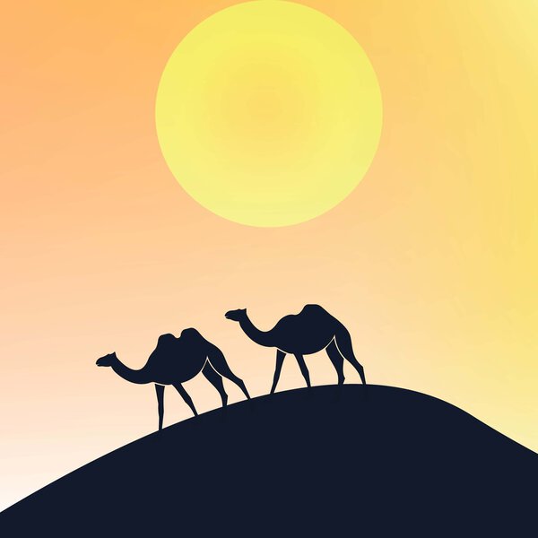 camel arab sahara 