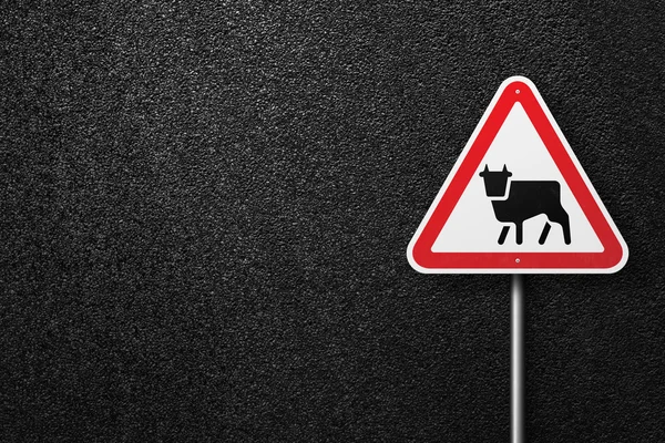 Road sign triangular shape with a picture of the cow on a background of asphalt. The texture of the tarmac, top view. — Stock Photo, Image
