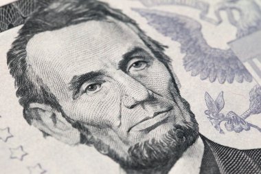 Makro fotoğraf ABD dolar